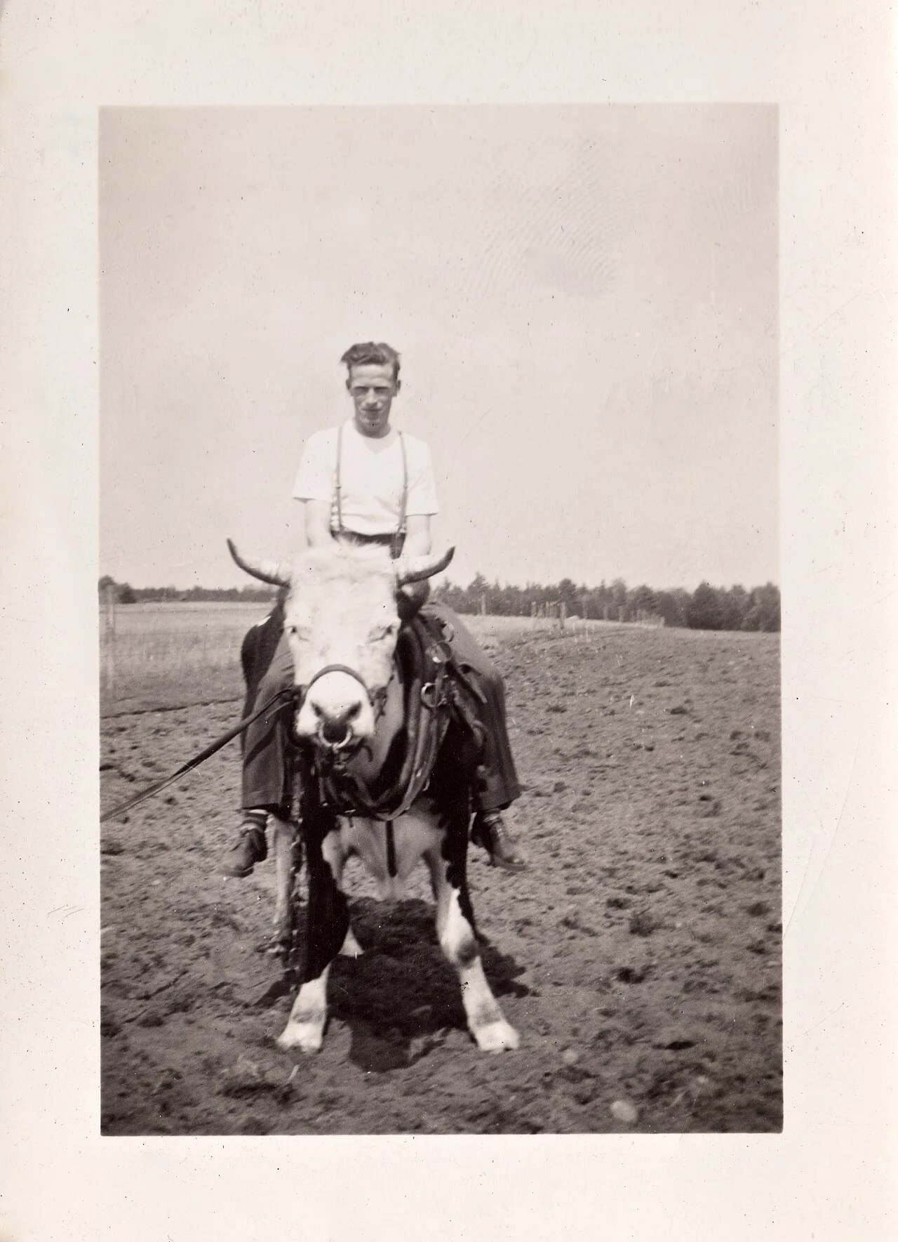 Rodeo